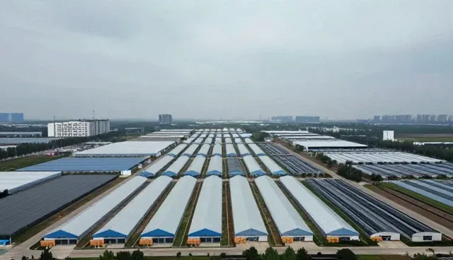 门诊服务模式中性能与适用条件的优化实践